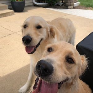 Meet your Posher, Morgan